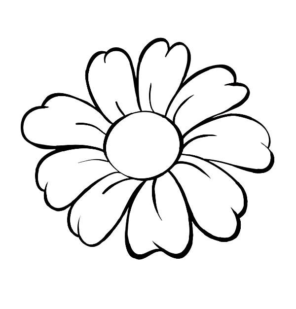 Daisy Flower, Daisy Flower Outline Coloring Page Stencils 600x627 Daisy Flower, Daisy Flower Outline Coloring Page Stencils