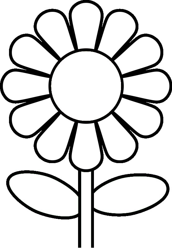 Daisy Flower Coloring Page 553x800 Daisy Flower Coloring Page