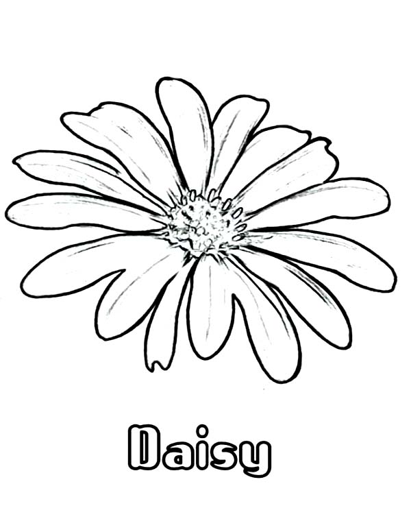 Daisy Flower Coloring Page For Kids Stone Mosaics 600x776 Daisy Flower Coloring Page For Kids Stone Mosaics