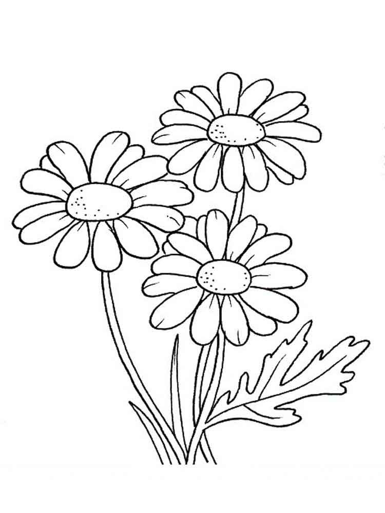 Httpmycoloring Flower 750x1000 Httpmycoloring Flower