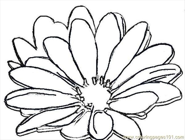 Daisy 7176w Coloring Page 650x490 Daisy 7176w Coloring Page