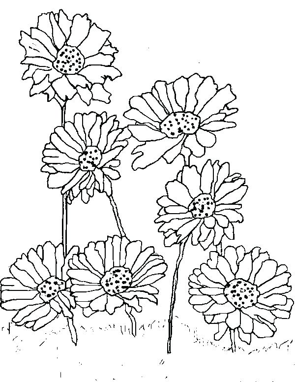 600x776 Daisy Coloring Pages Best Coloring Book Daisy Girl Scout Coloring