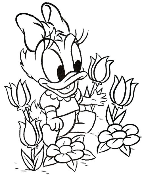 Daisy Duck Coloring Page Free Printable Daisy Duck Coloring Pages 500x619 Daisy Duck Coloring Page Free Printable Daisy Duck Coloring Pages