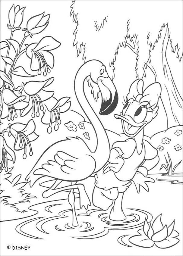 Daisy Duck With A Flamingo Coloring Pages 607x850 Daisy Duck With A Flamingo Coloring Pages