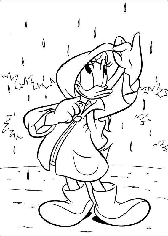 Kids N 30 Coloring Pages Of Daisy Duck 567x794 Kids N 30 Coloring Pages Of Daisy Duck
