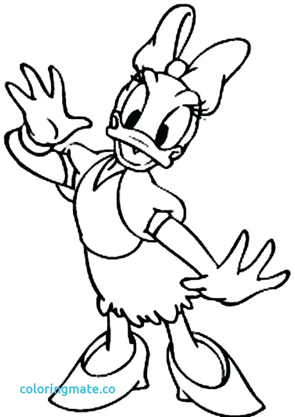Minnie Mouse And Daisy Duck Coloring Pages And An Owl Coloring 600x847 Minnie Mouse And Daisy Duck Coloring Pages And An Owl Coloring
