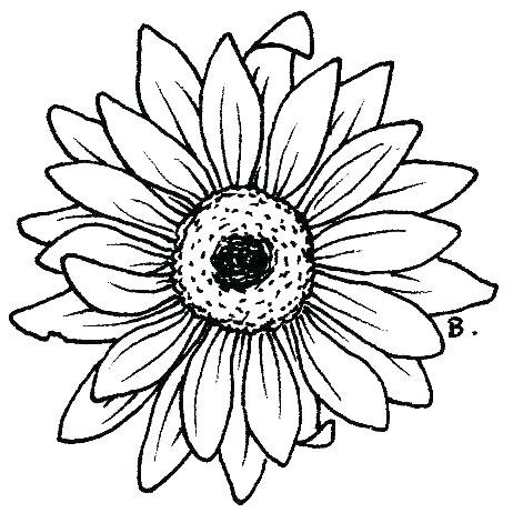 462x462 Daisy Coloring Pages Free Coloring Pages Flower Bouquet In A Vase