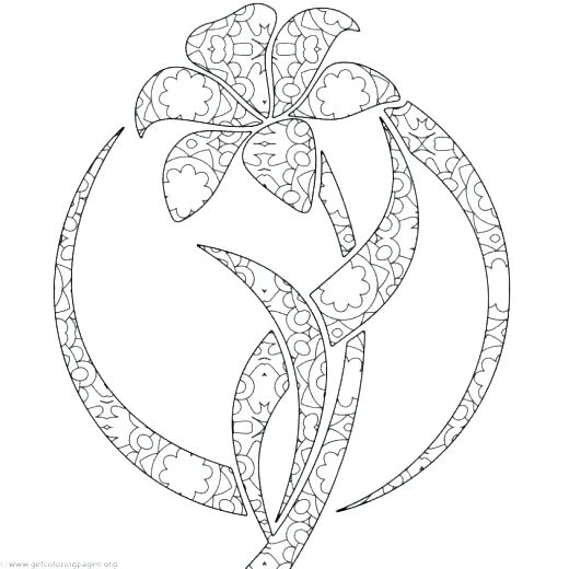 520x520 Daisy Flower Friends Coloring Sheets Printable Coloring Daisy