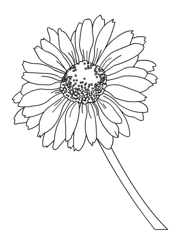 750x1000 Daisy Flower Coloring Pages. Download And Print Daisy Flower