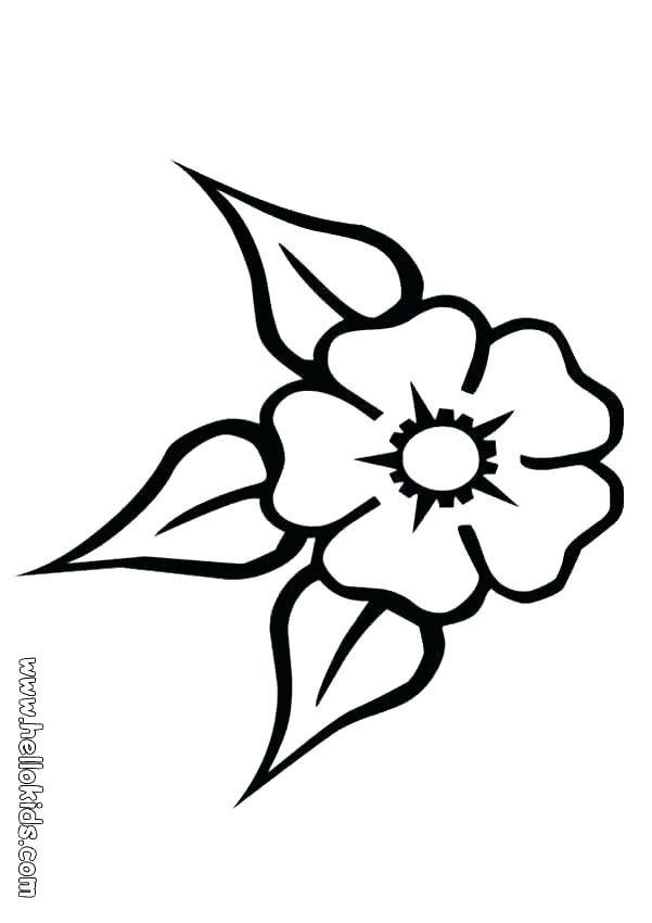 601x850 Coloring Book Flower Pages Color Flowers Online Page 1 Gardenia 4