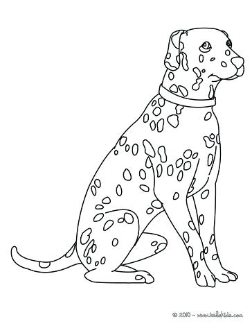 Dalmatian Coloring Pages Best Images On For Dalmatians Coloring 364x470 Dalmatian Coloring Pages Best Images On For Dalmatians Coloring