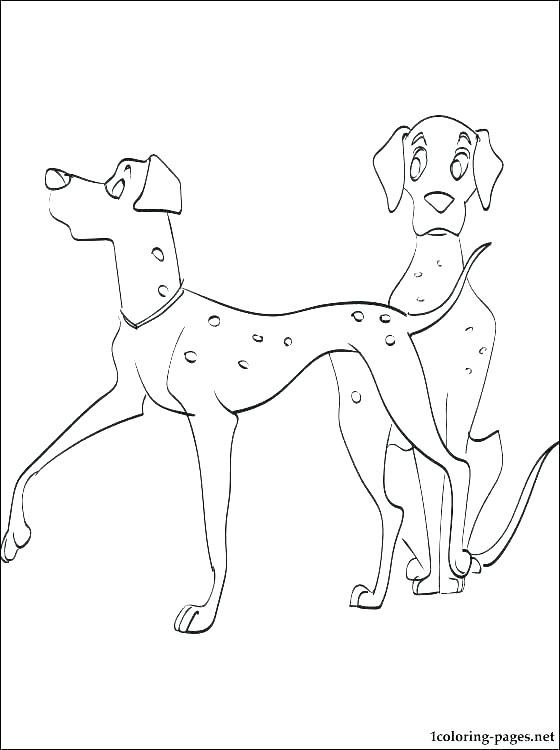 Dalmatian Dog Coloring Page