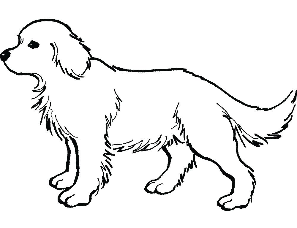 Coloring Pages Dogs The Big Dog Is A Very Cruel And Abusive 1000x768 Coloring Pages Dogs The Big Dog Is A Very Cruel And Abusive