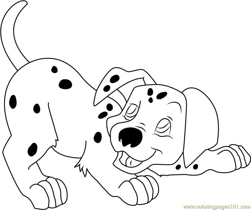 Cute Dalmatian Puppy Coloring Page 800x670 Cute Dalmatian Puppy Coloring Page