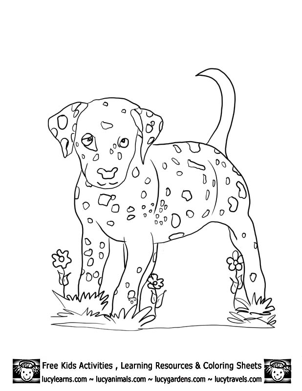 618x800 Dog And Dalmation Fire Coloring Page, Dalmation Coloring Pages