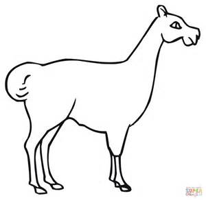 300x292 Llama Coloring Pages