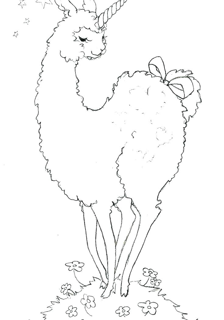 736x1050 Ostrich Coloring Page Ostrich Coloring Page Llama Coloring Page