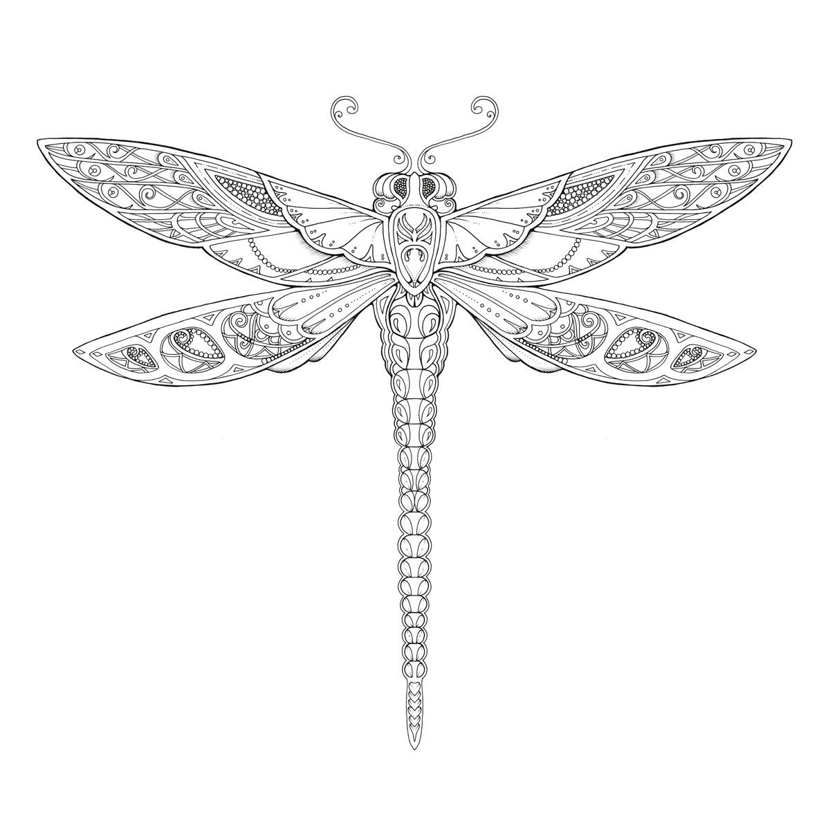 1200x1200 Zaczarowany Las. Koloruj, Szukaj Symboli, Odkryj