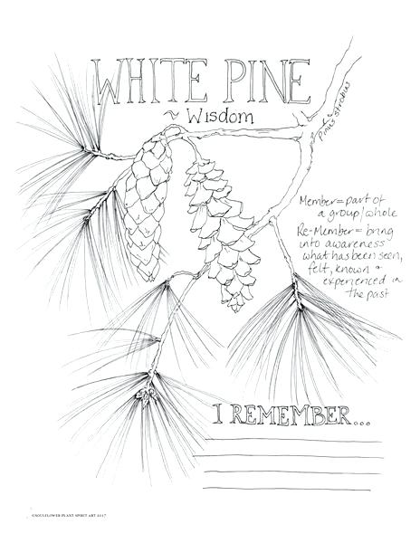 Dandelion Coloring Pages Dandelion Coloring Page Adult Coloring 464x600 Dandelion Coloring Pages Dandelion Coloring Page Adult Coloring