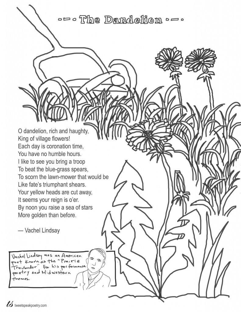 Dandelion Flower Coloring Pages Coloring Page Fun 791x1024 Dandelion Flower Coloring Pages Coloring Page Fun