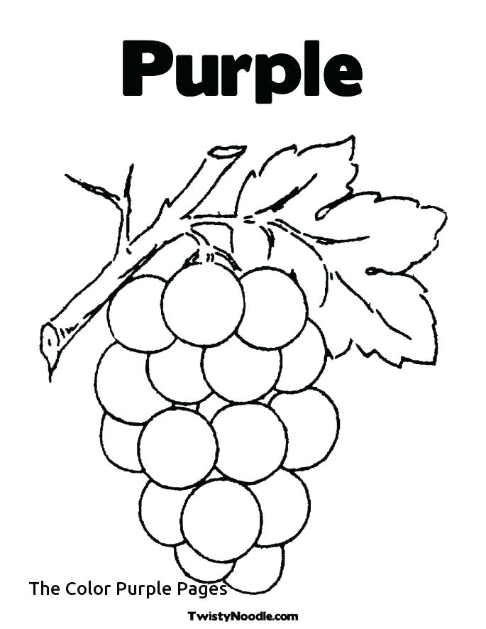 Purple Coloring Pages Dandelion Coloring Page The Color Purple 685x886 Purple Coloring Pages Dandelion Coloring Page The Color Purple