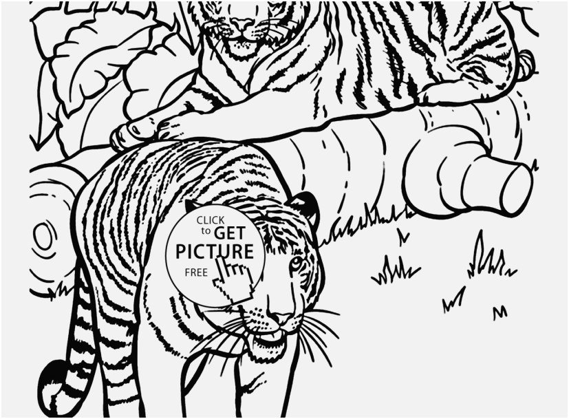 827x609 Daniel Tiger Coloring Pages View Tiger Coloring Pages Free