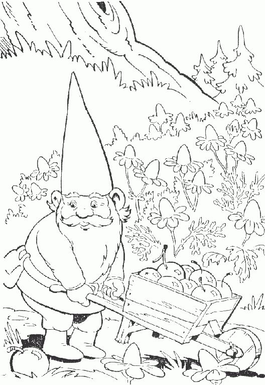 35 Best Gnomes Images On Coloring, Coloring Books 528x766 35 Best Gnomes Images On Coloring, Coloring Books