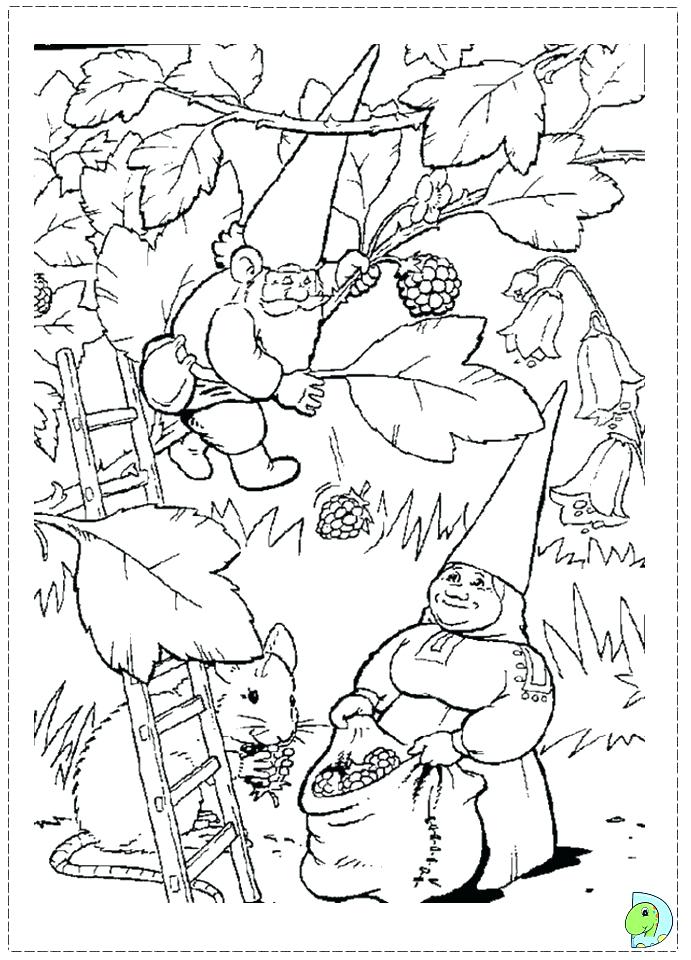 Gnome Coloring Pages X Printable Gnome Coloring Pages 691x960 Gnome Coloring Pages X Printable Gnome Coloring Pages