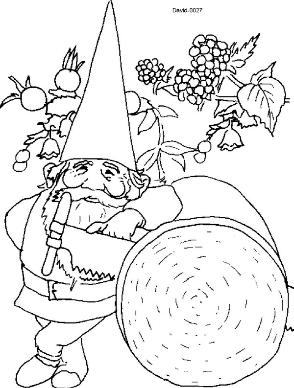 Kleurplaat David De Kabouter Gnomes Gnomes, Adult 600x793 Kleurplaat David De Kabouter Gnomes Gnomes, Adult