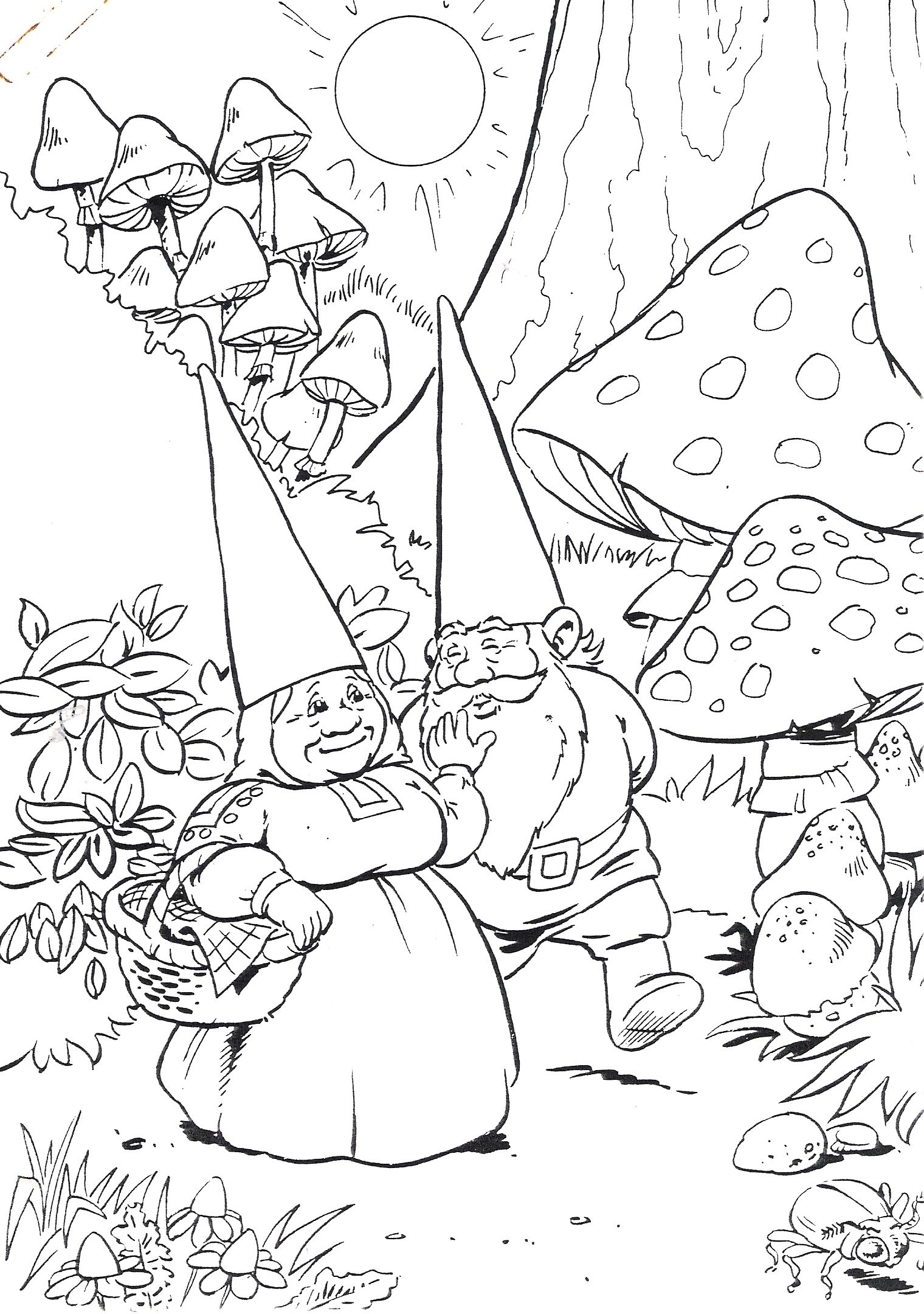 David De Kabouter David Gnomo Da Colorare Gnomes 1520x2160 David De Kabouter David Gnomo Da Colorare Gnomes