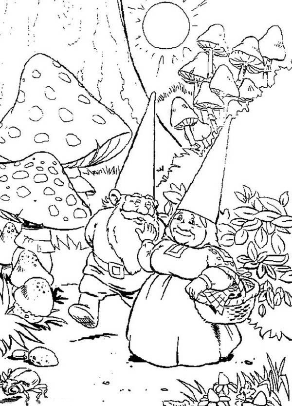 David The Gnome Accompany His Wife Walking To Forest Coloring 600x833 David The Gnome Accompany His Wife Walking To Forest Coloring