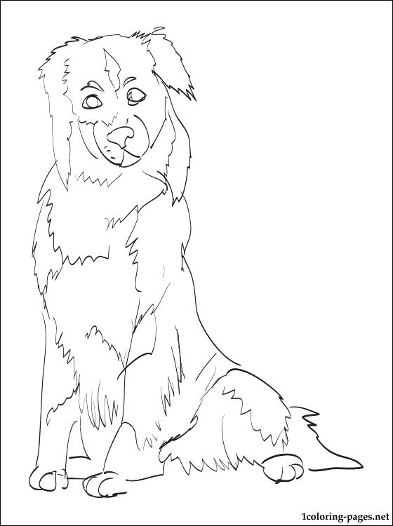560x750 Shepherd Coloring Page Shepherd Coloring Pages Shepherd Coloring