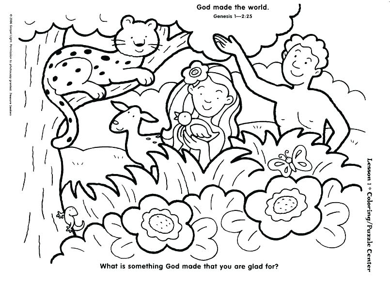 805x592 Creation Coloring Sheet Free Creation Coloring Sheets Preschool
