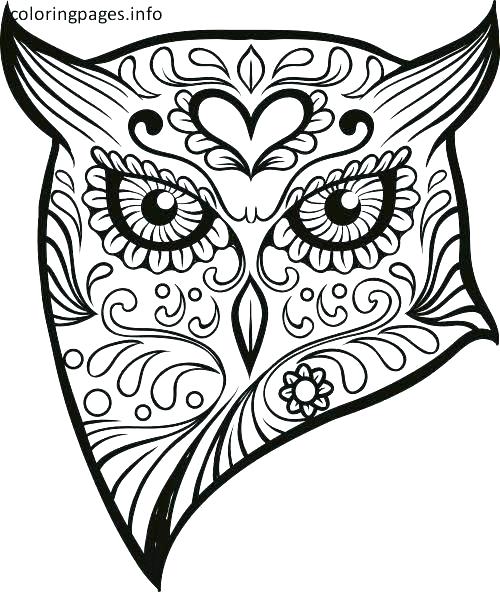 Difficult Coloring Pages Day Of The Dead Sugar Skull Coloring 500x592 Difficult Coloring Pages Day Of The Dead Sugar Skull Coloring