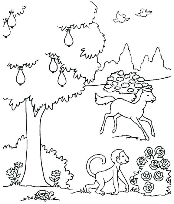 575x672 Ideas About Creation Coloring Pages On Days Of Ideas About