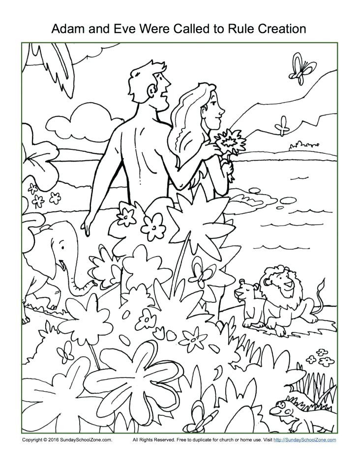 728x942 7 Days Of Creation Coloring Pages New Creation Coloring Pages