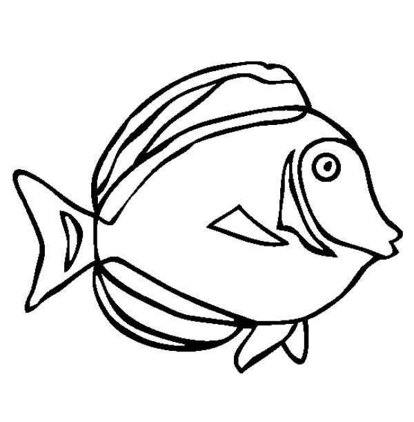 26 Best Fish Coloring Pages Images On Fish, Pisces 600x611 26 Best Fish Coloring Pages Images On Fish, Pisces