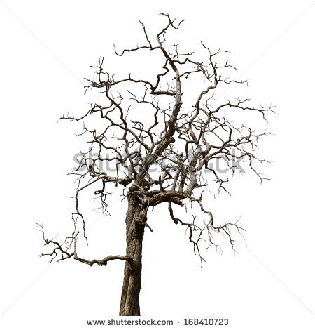 Drawn Dead Tree Background 3302923 450x470 Drawn Dead Tree Background 3302923