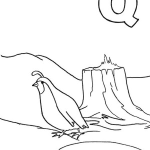 Free Printable Coloring Pages 300x300 Free Printable Coloring Pages