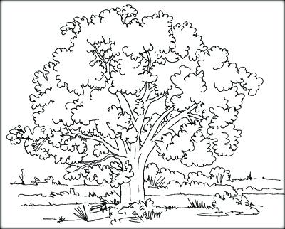 Printable Leaves Coloring Pages Of To Color We Are Fall Coloring 400x322 Printable Leaves Coloring Pages Of To Color We Are Fall Coloring