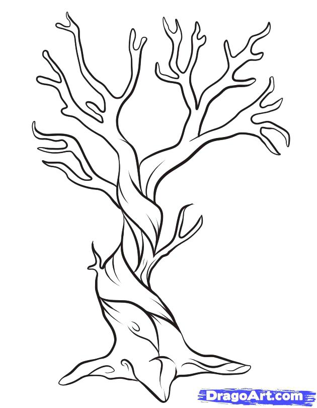 Tree Template Coloring Page Bare Good For Home Outline 630x810 Tree Template Coloring Page Bare Good For Home Outline