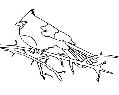 Cardinal Bird Coloring Page Bird Coloring Pages Printable Coloring 400x322 Cardinal Bird Coloring Page Bird Coloring Pages Printable Coloring