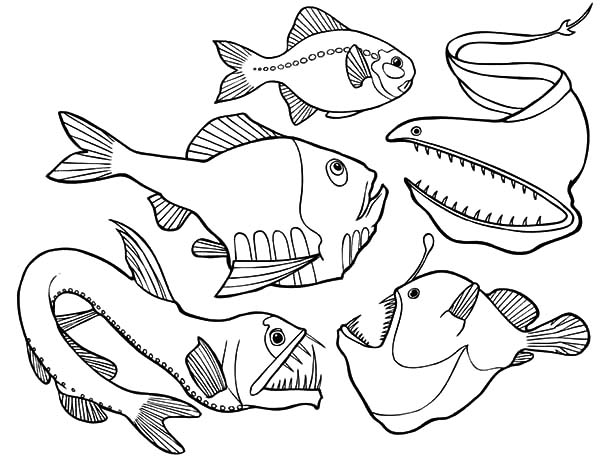 Deep Sea Coloring Pages at GetColorings.com | Free printable colorings ...