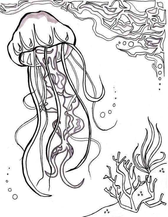 570x733 Jellyfish, Ocean, Ocean Coloring Sheet, Aquatic Art, Sea, Nautical