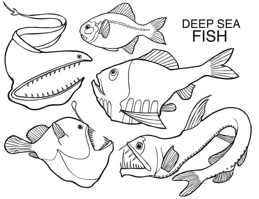 880x675 Deep Sea Fish Creatures Coloring Pages First Grade Ocean Unit