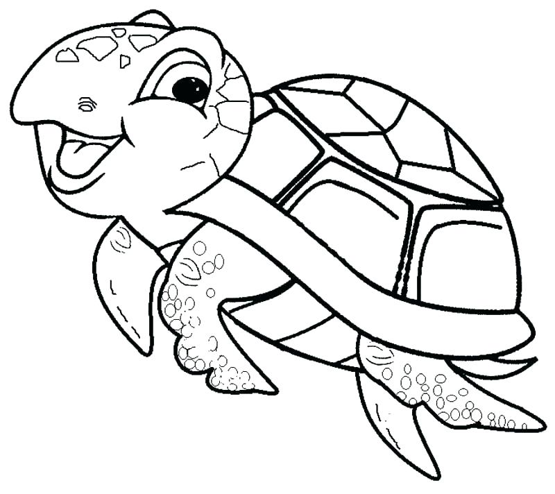 800x712 Coloring Book Turtle As Well As Coloring Pages Of A Turtle Sea