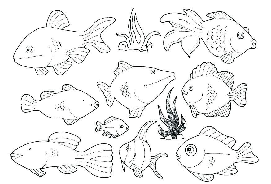 875x595 Sea Creature Coloring Pages Deep Sea Creatures Coloring Pages Deep
