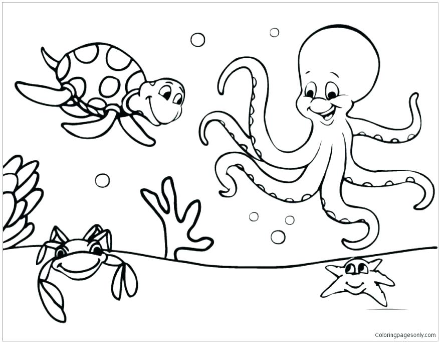 878x683 Sea Creature Coloring Pages Sea Animals Coloring Pages Trendy