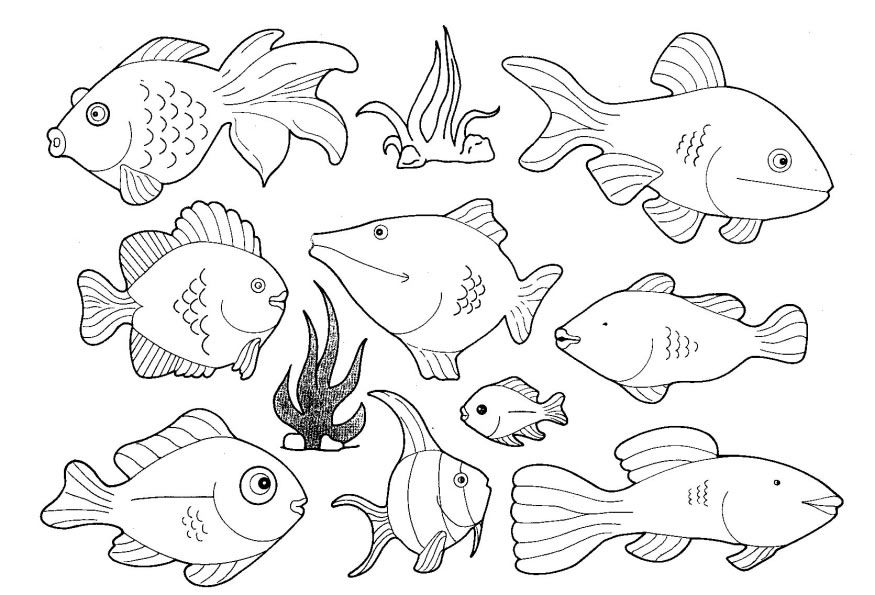 875x595 Sea Life Coloring Pages Fresh Deep Sea Life Coloring Pages