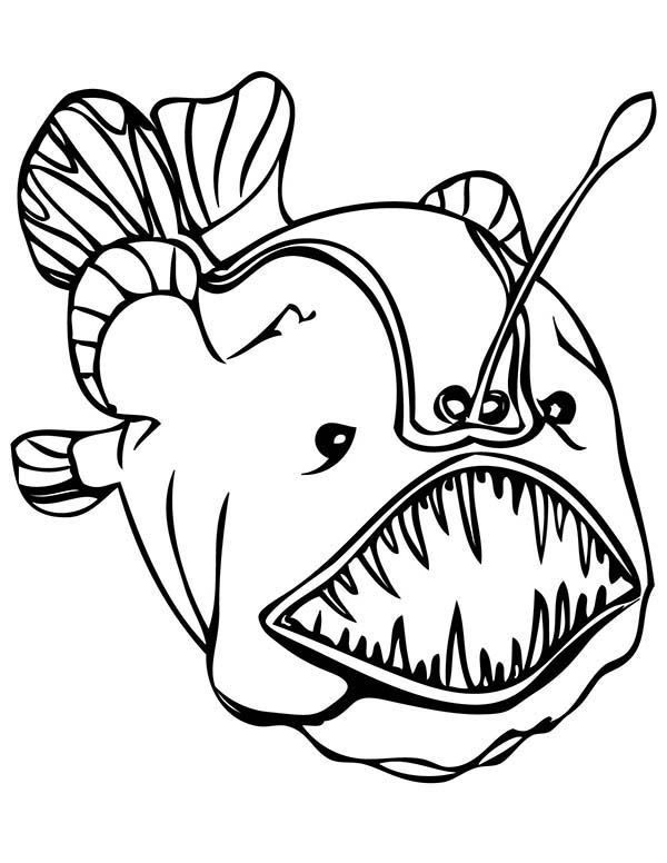 600x776 Deep Sea Creatures Coloring Pages Coloring Pages
